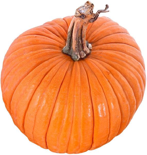 Pumpkin is a good source of the amino acid l-phenylalanine